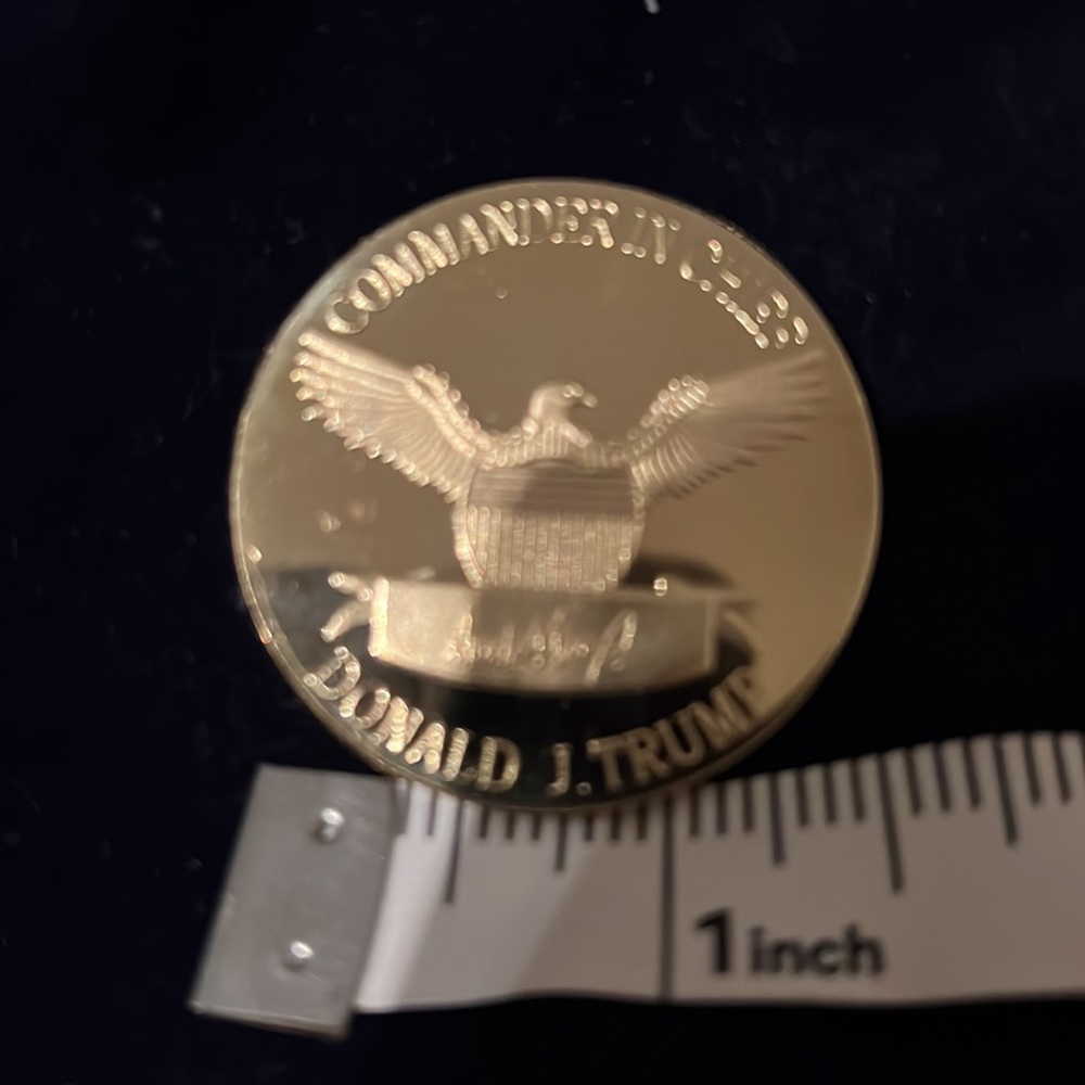 Donald Trump - Picture 7 of 7